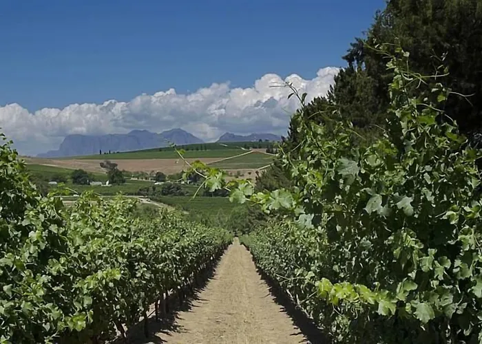 Clos Malverne Wine Estate